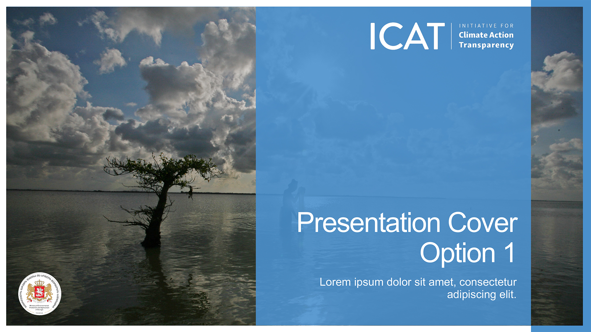 ppt1
