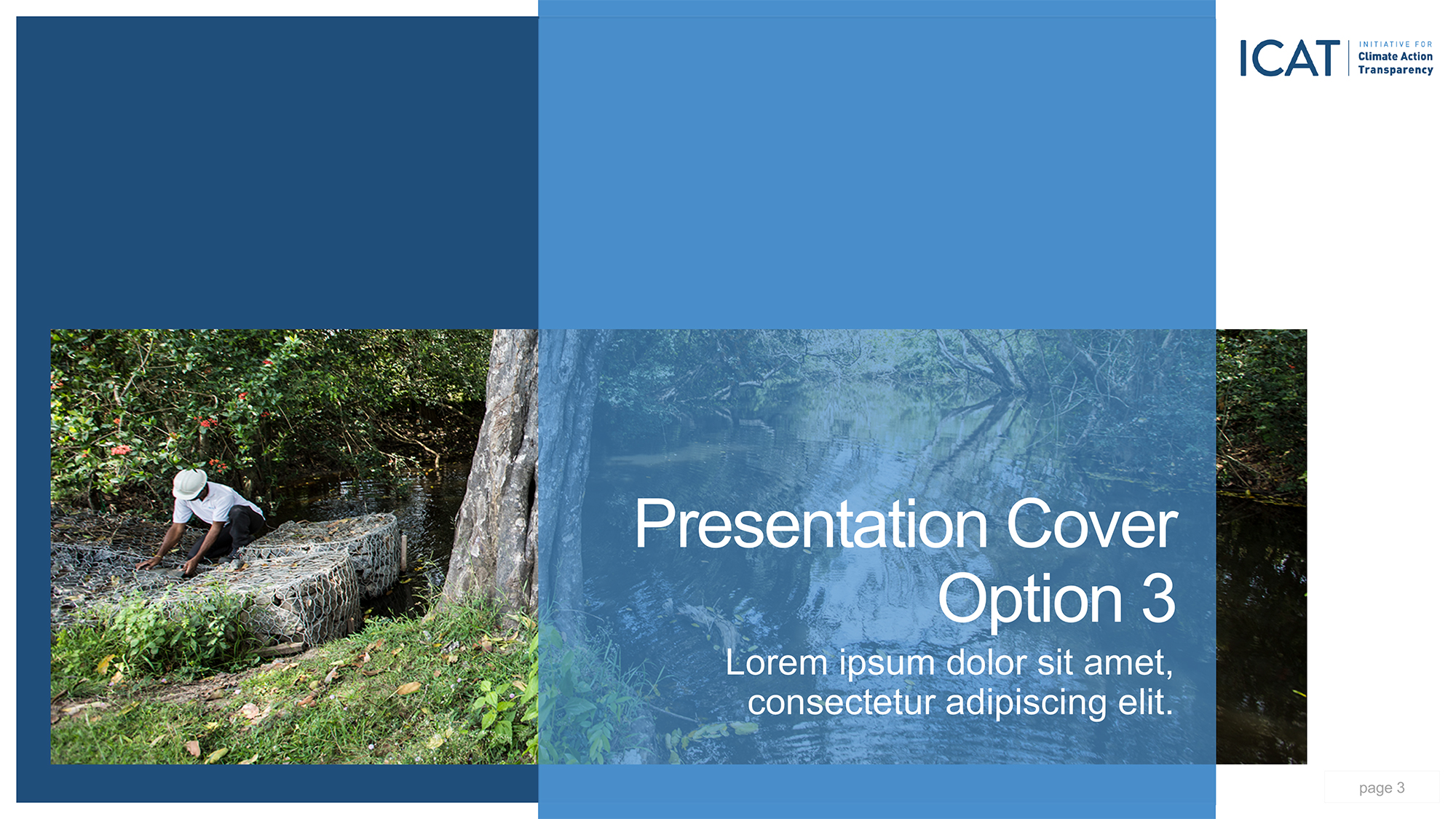 ppt3